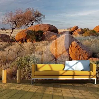 Fototapeta - Pejzaż afrykański, Namibia