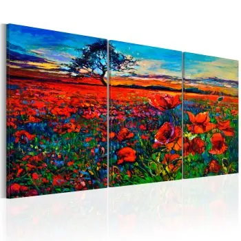 Obraz - Dolina maków