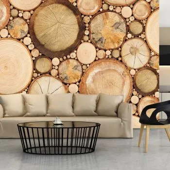 Fototapeta - Słoje drewna