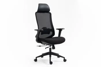 Fotel ergonomiczny Ergon czarny