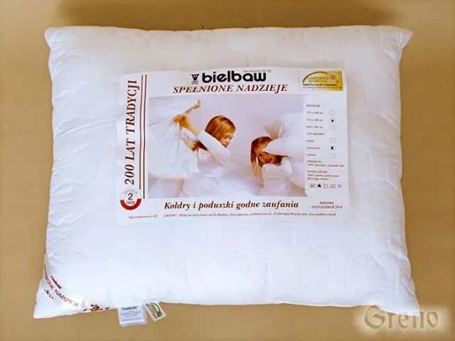 Poduszka poliestrowa Spełnione Nadzieje 50x60 Greno | MIRAT. w stylu  kolekcja