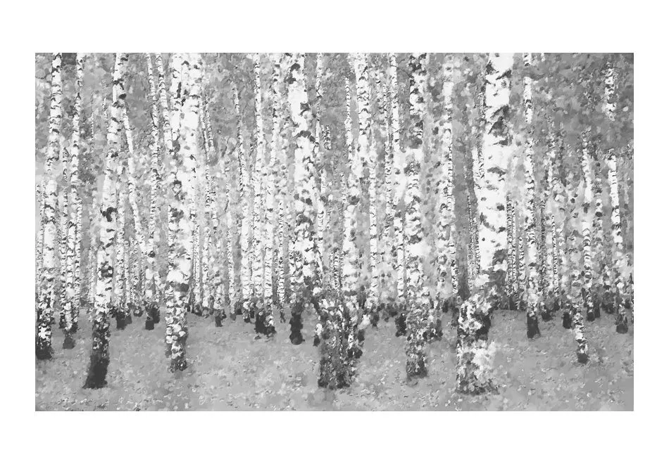 Fototapeta - Brzozowe zacisze-2