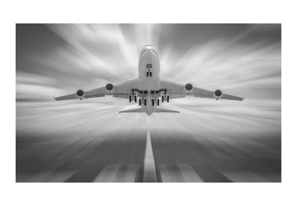 Fototapeta - W stronę chmur-2