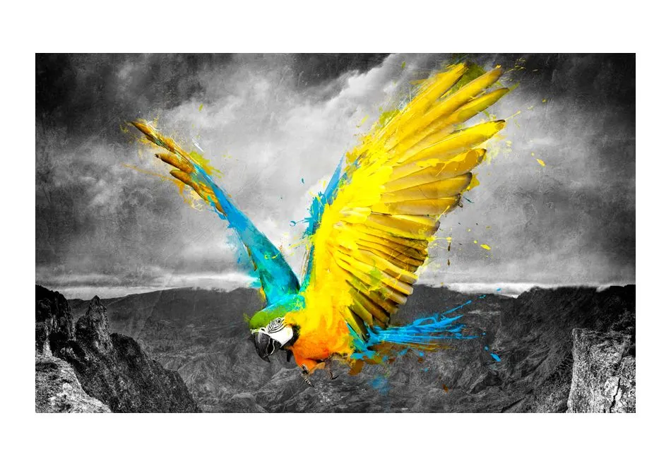 Fototapeta - Exotic parrot-2