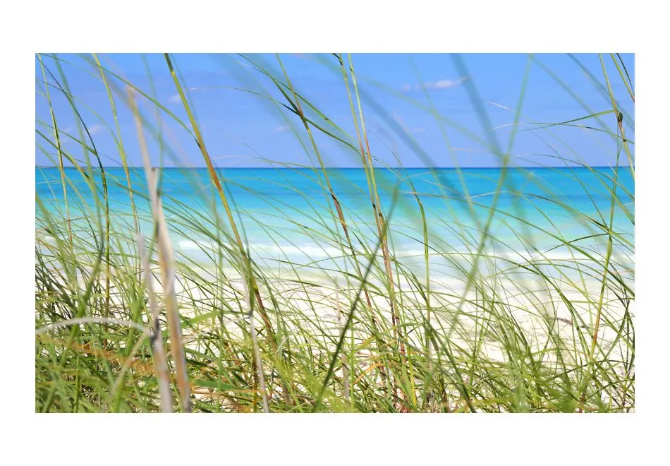 Fototapeta - Tropical journey-2