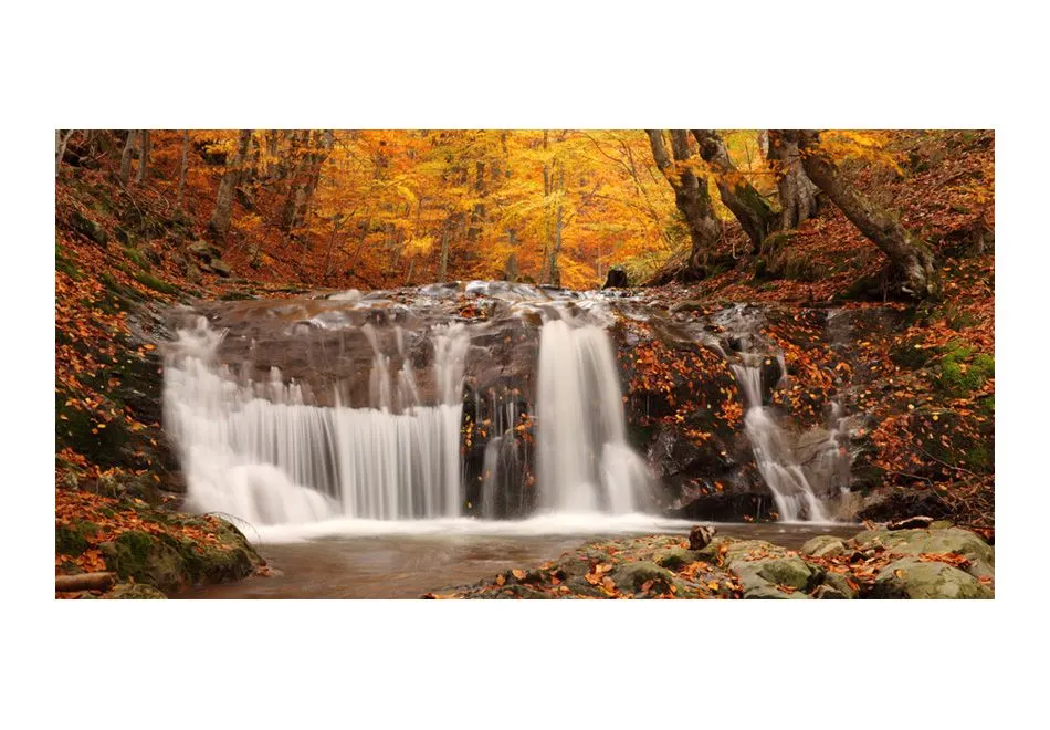Fototapeta XXL - Autumn landscape  waterfall in forest-2