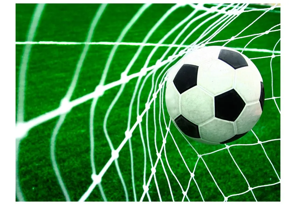 Fototapeta - Goool!-2