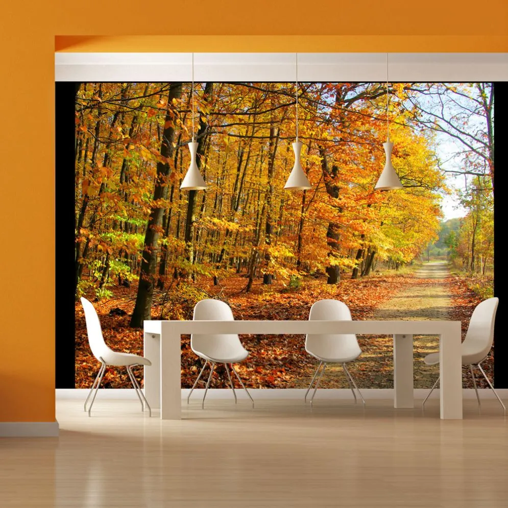 Fototapeta - Beech forest-1
