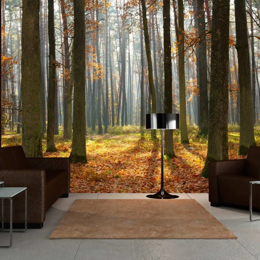 Fototapeta - Autumn trees-1