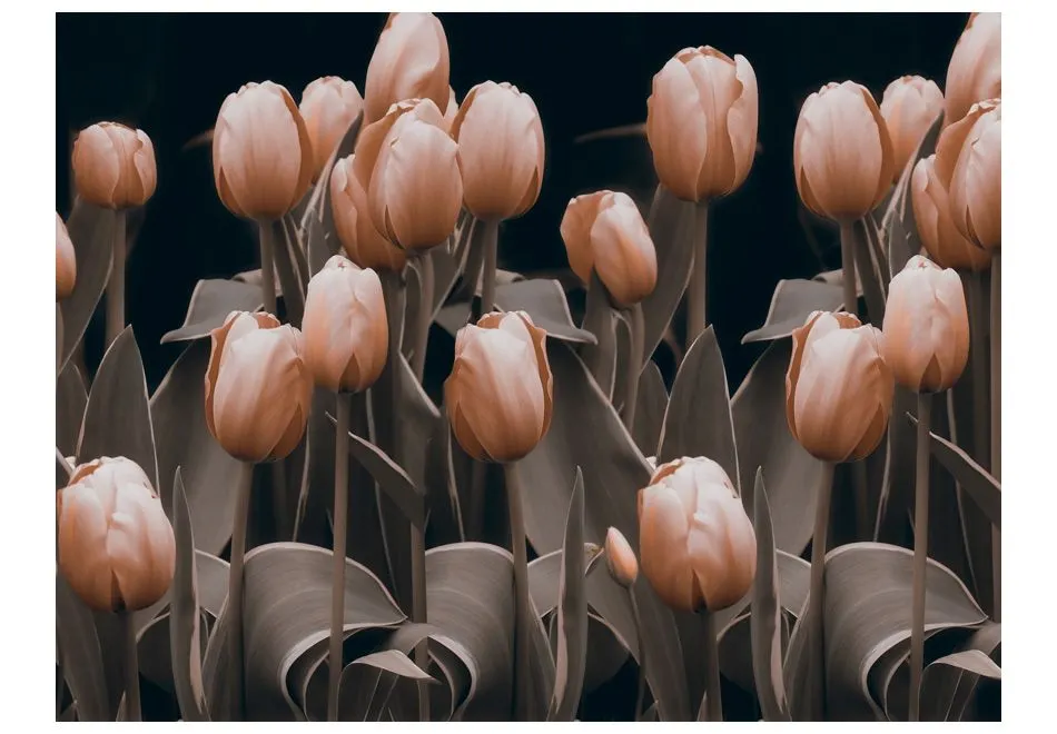 Fototapeta - Ladies among the flowers-2