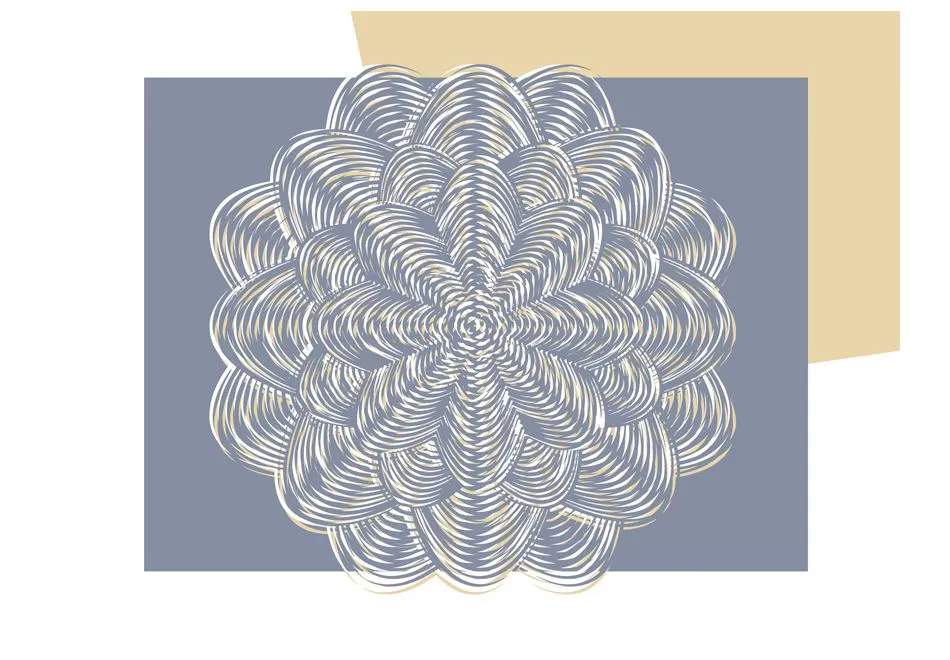 Fototapeta - Biały ornament-2