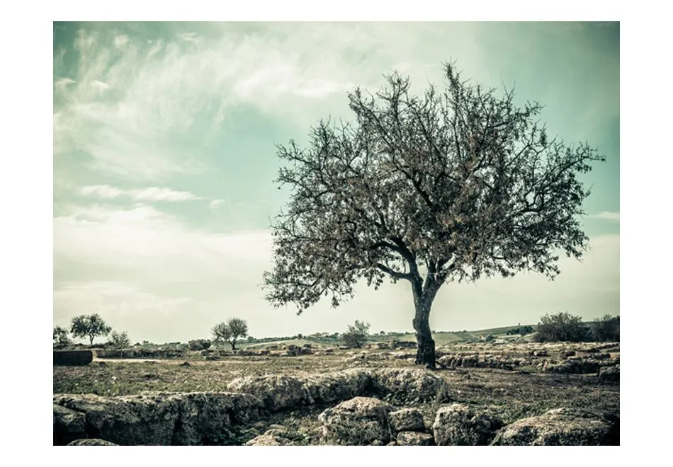Fototapeta - drzewo - vintage-2