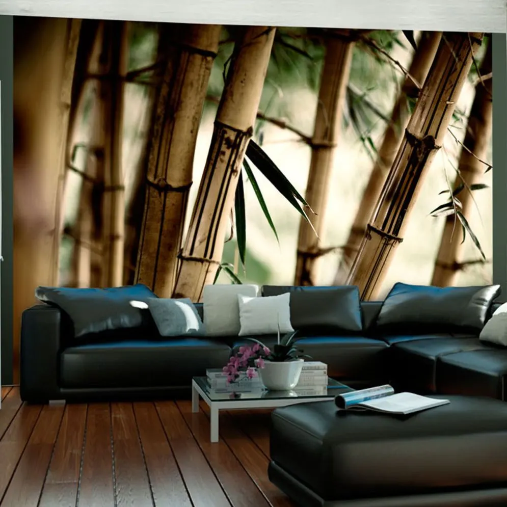 Fototapeta - Fog and bamboo forest-1