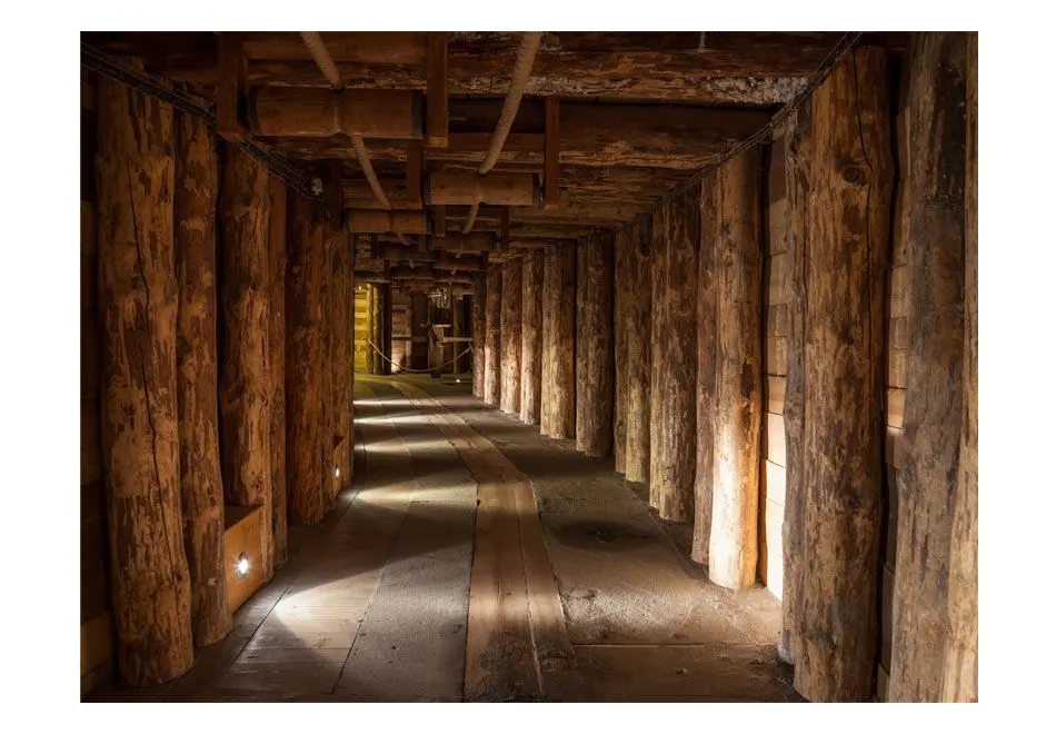 Fototapeta - Wooden passage-2