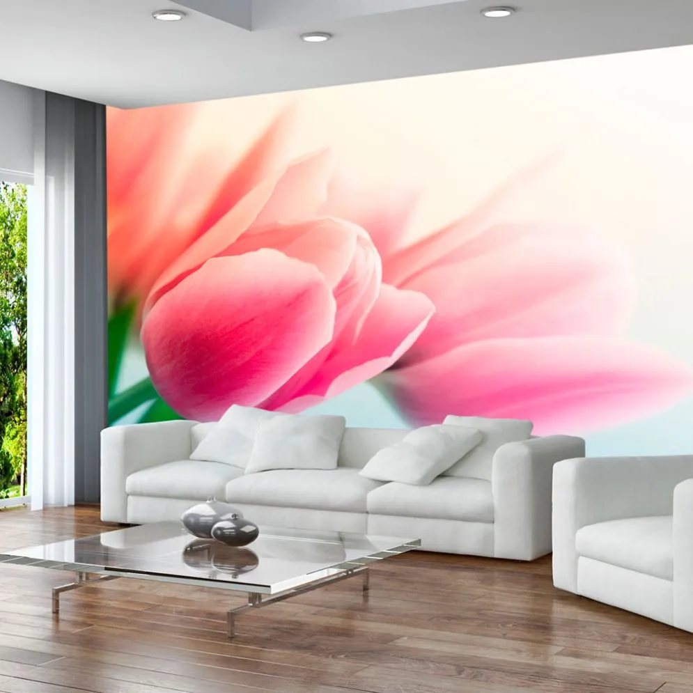 Fototapeta - Wiosna i tulipany-1