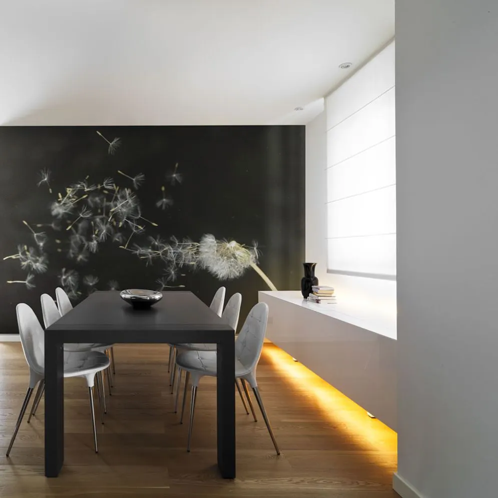 Fototapeta - Jak niesione wiatrem nasiona dmuchawców...-1