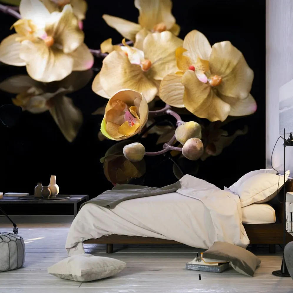 Fototapeta - Orchids in ecru color-1