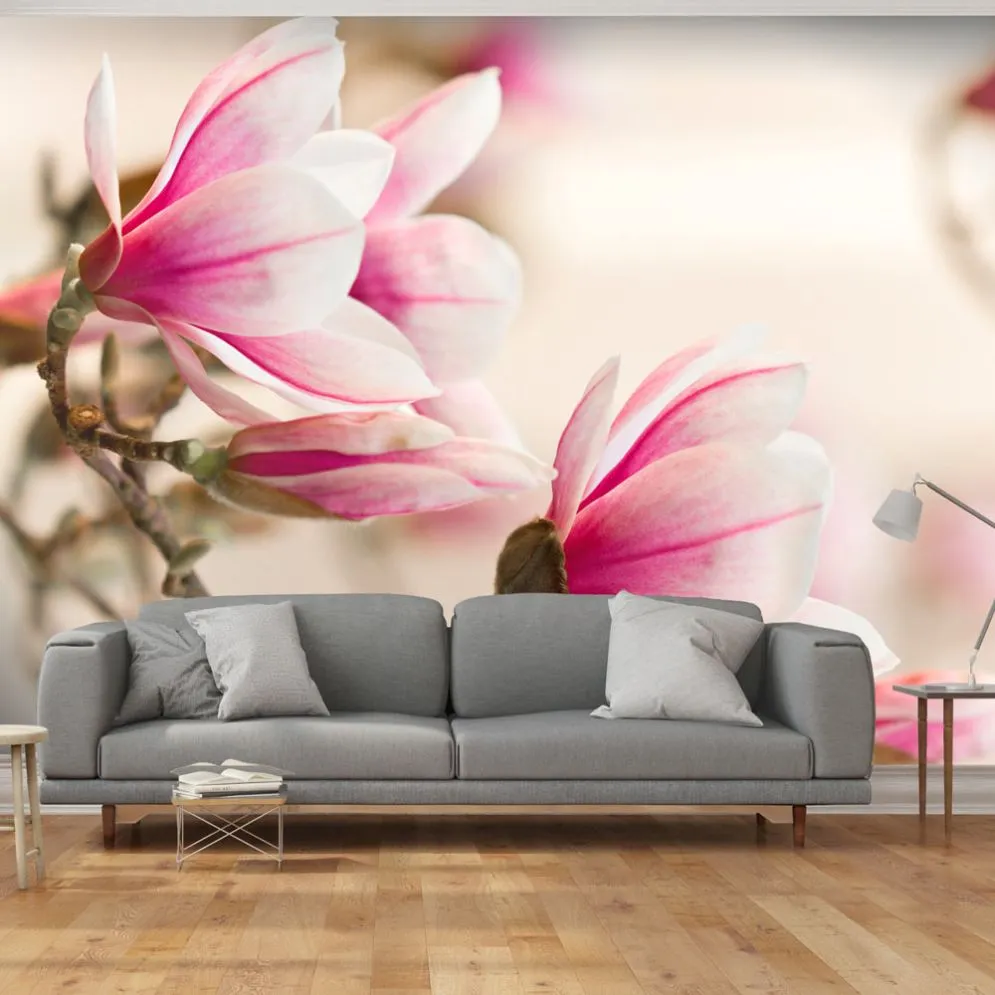 Fototapeta - Branch of magnolia tree-1