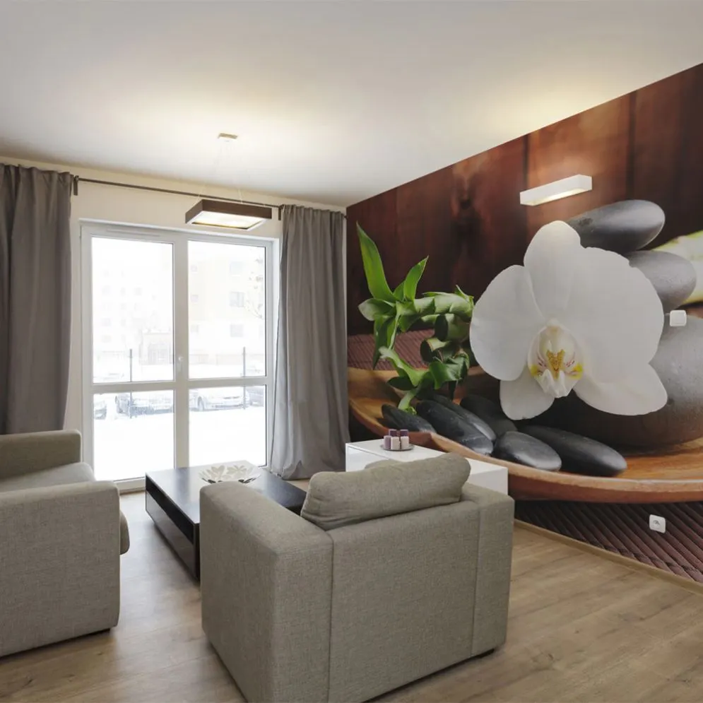 Fototapeta - świątynia zen-1