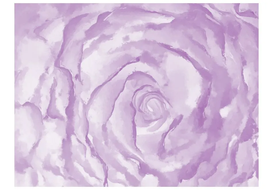 Fototapeta - róża (różowy)-2