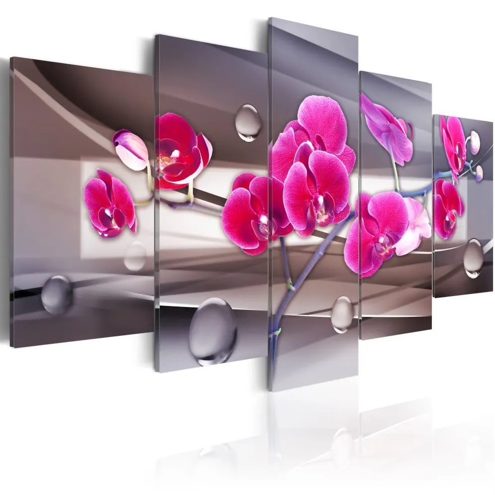 Obraz - Orchidea na stonowanym tle-1