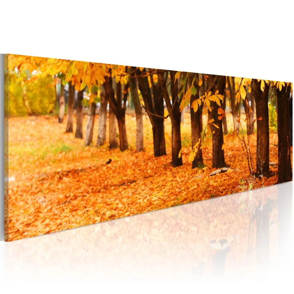 Obraz - Park covered with golden leaves-1