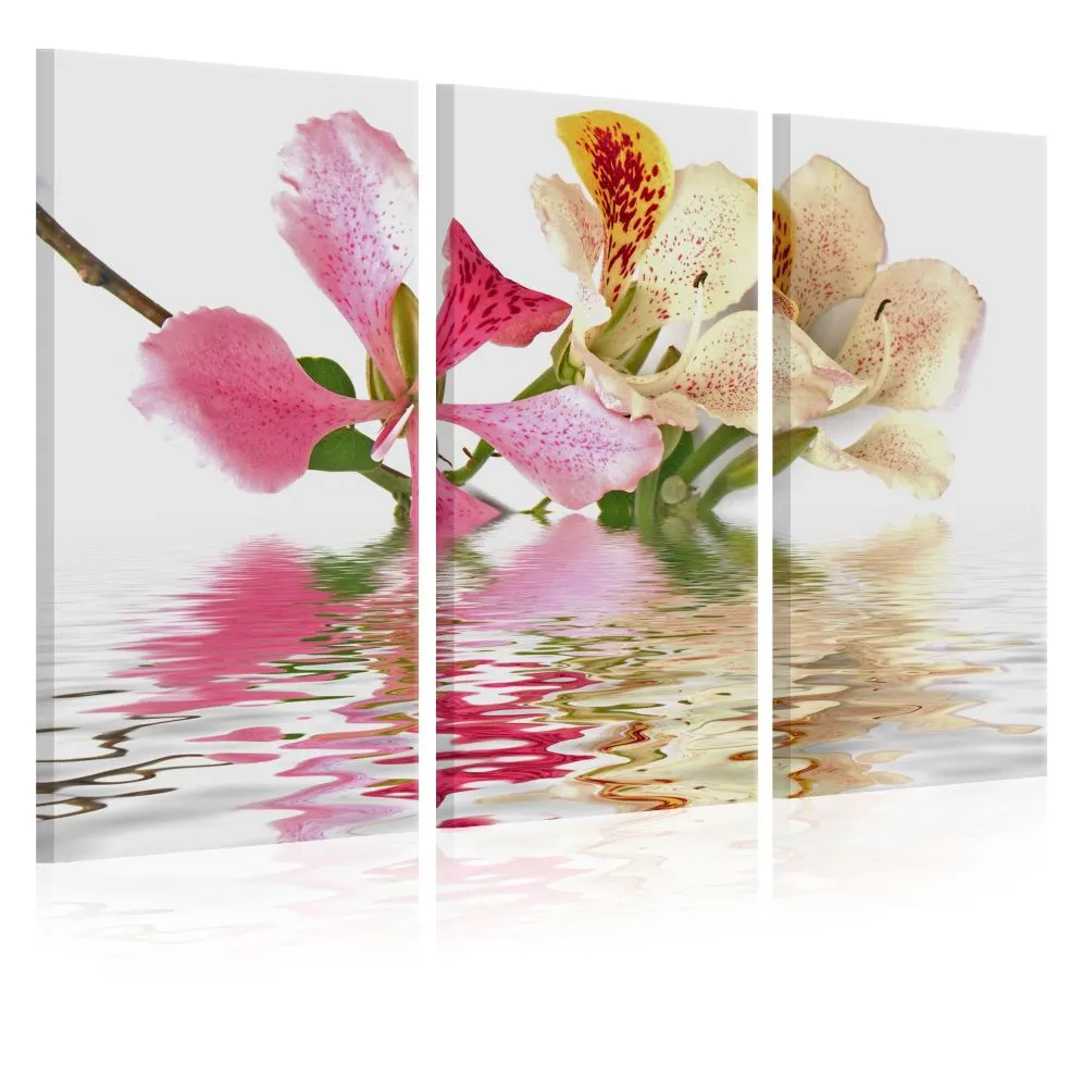 Obraz - Orchidea w cętki-1