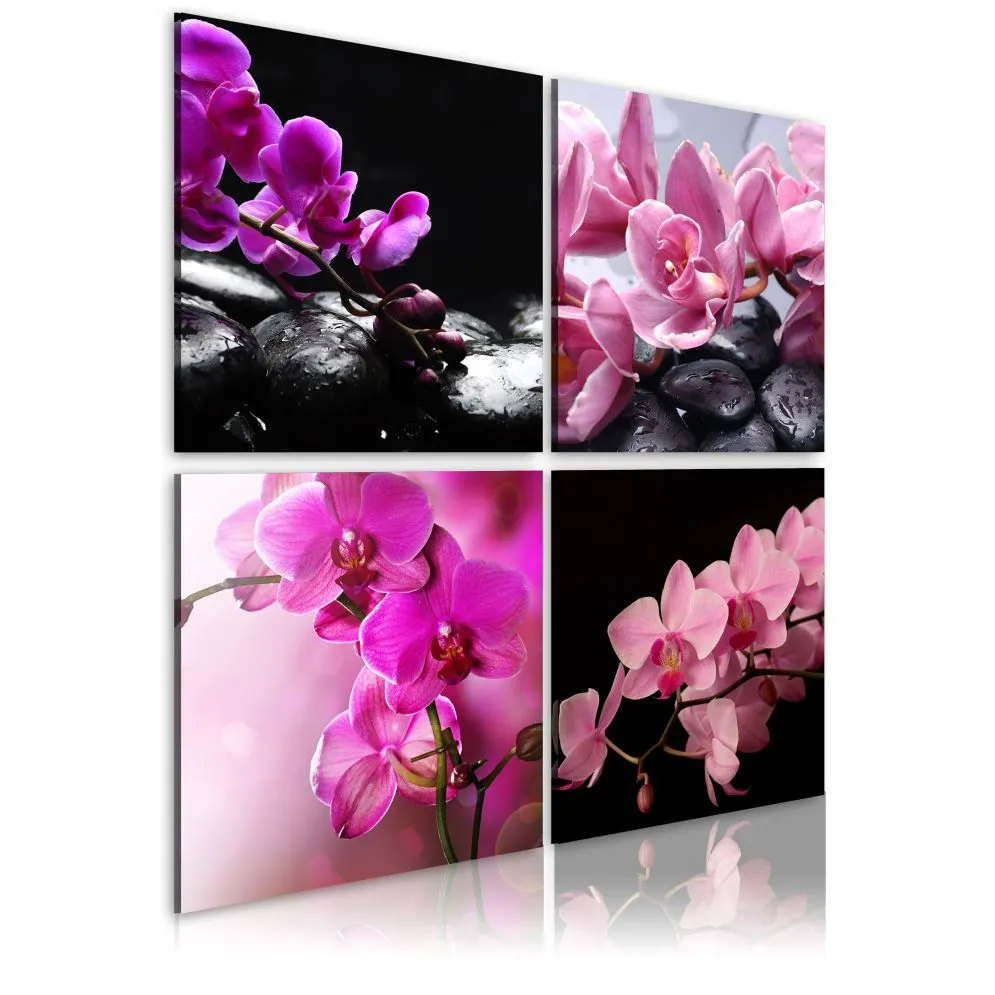 Obraz - Orchidee piękniejsze niż kiedykolwiek-1