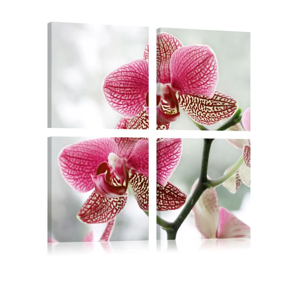 Obraz - Fantazyjna orchidea-1
