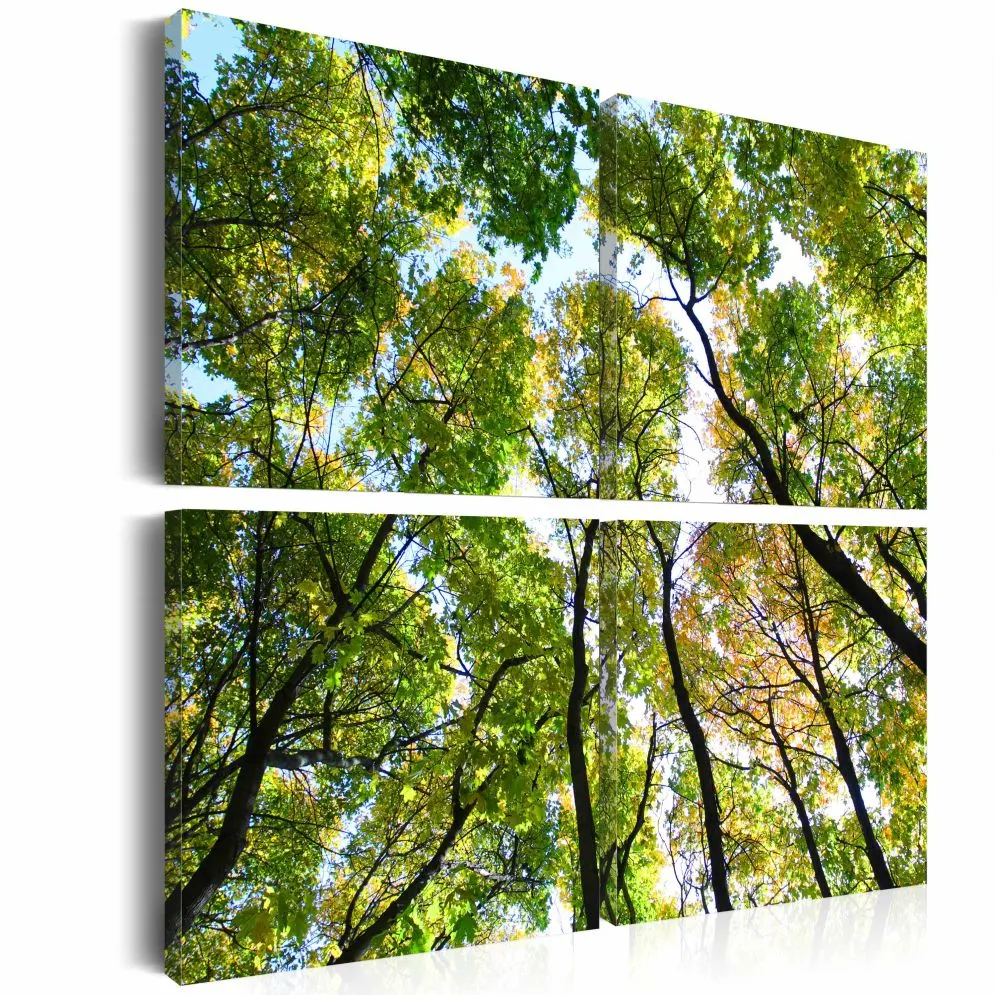 Obraz - Treetops-1