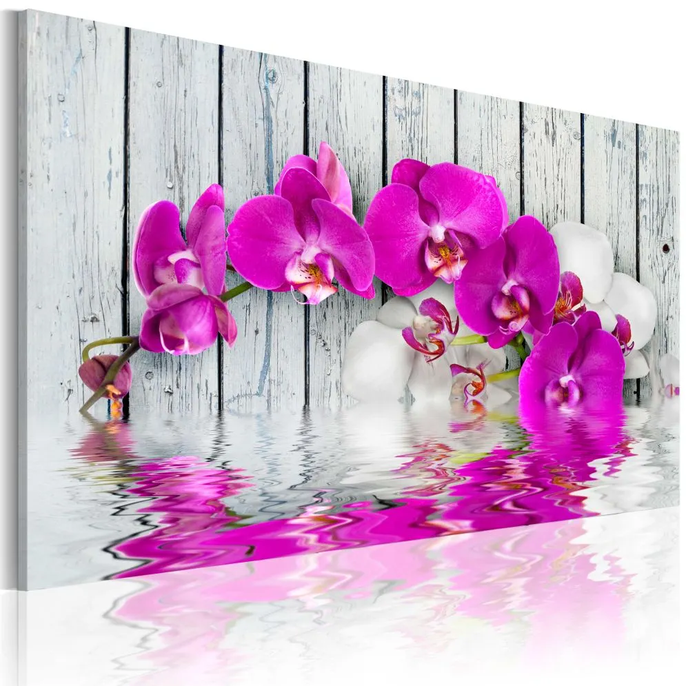 Obraz - harmonia orchidea-1