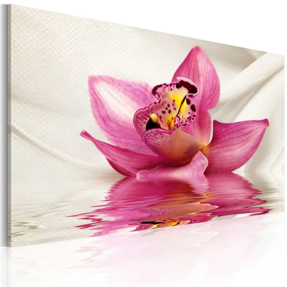 Obraz - Unusual orchid-1