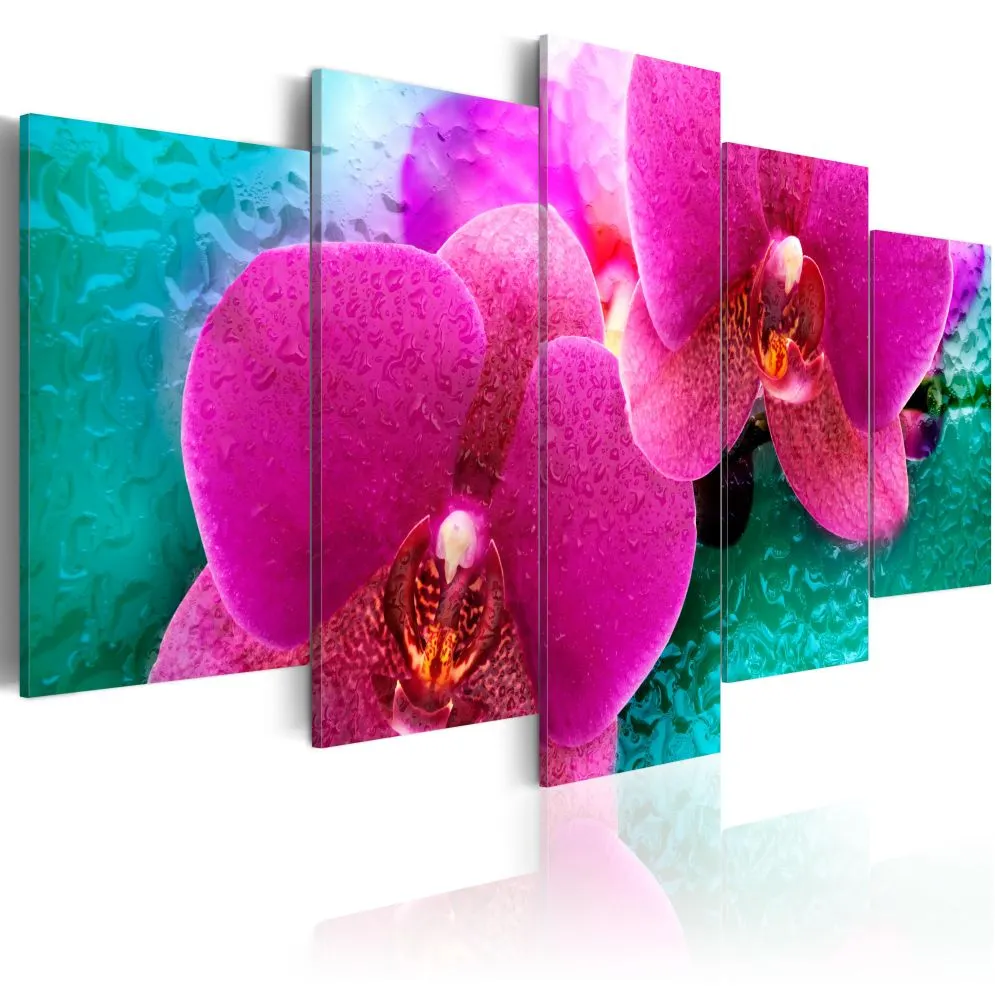 Obraz - Exotic orchids-1