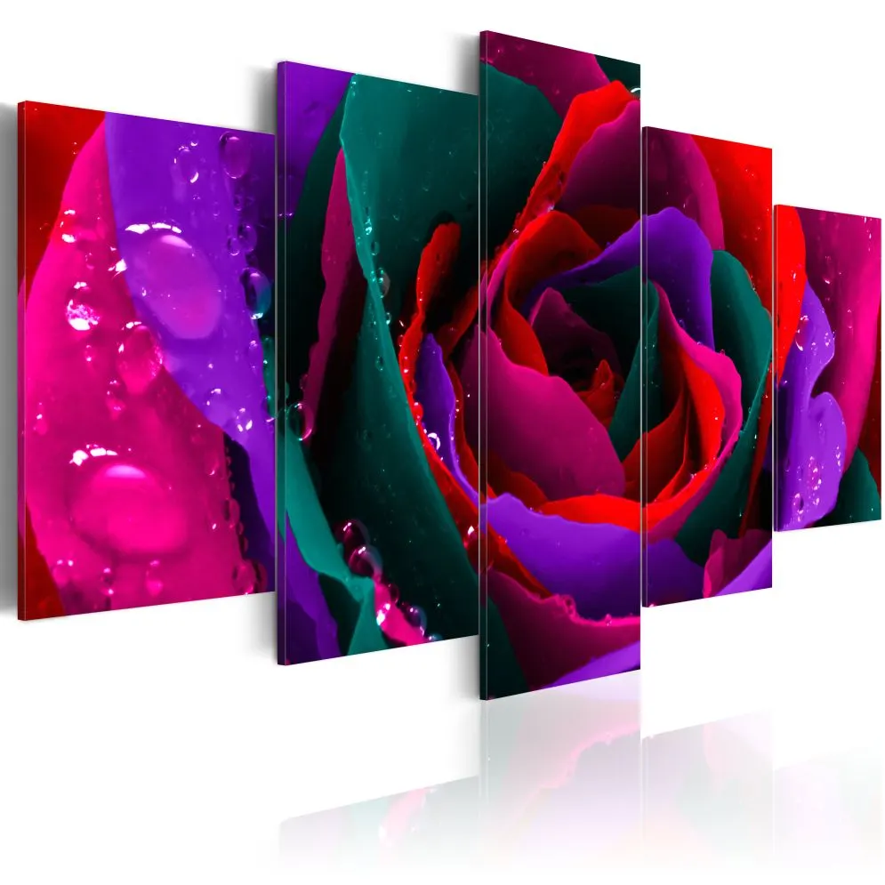 Obraz - Multicoloured rose-1