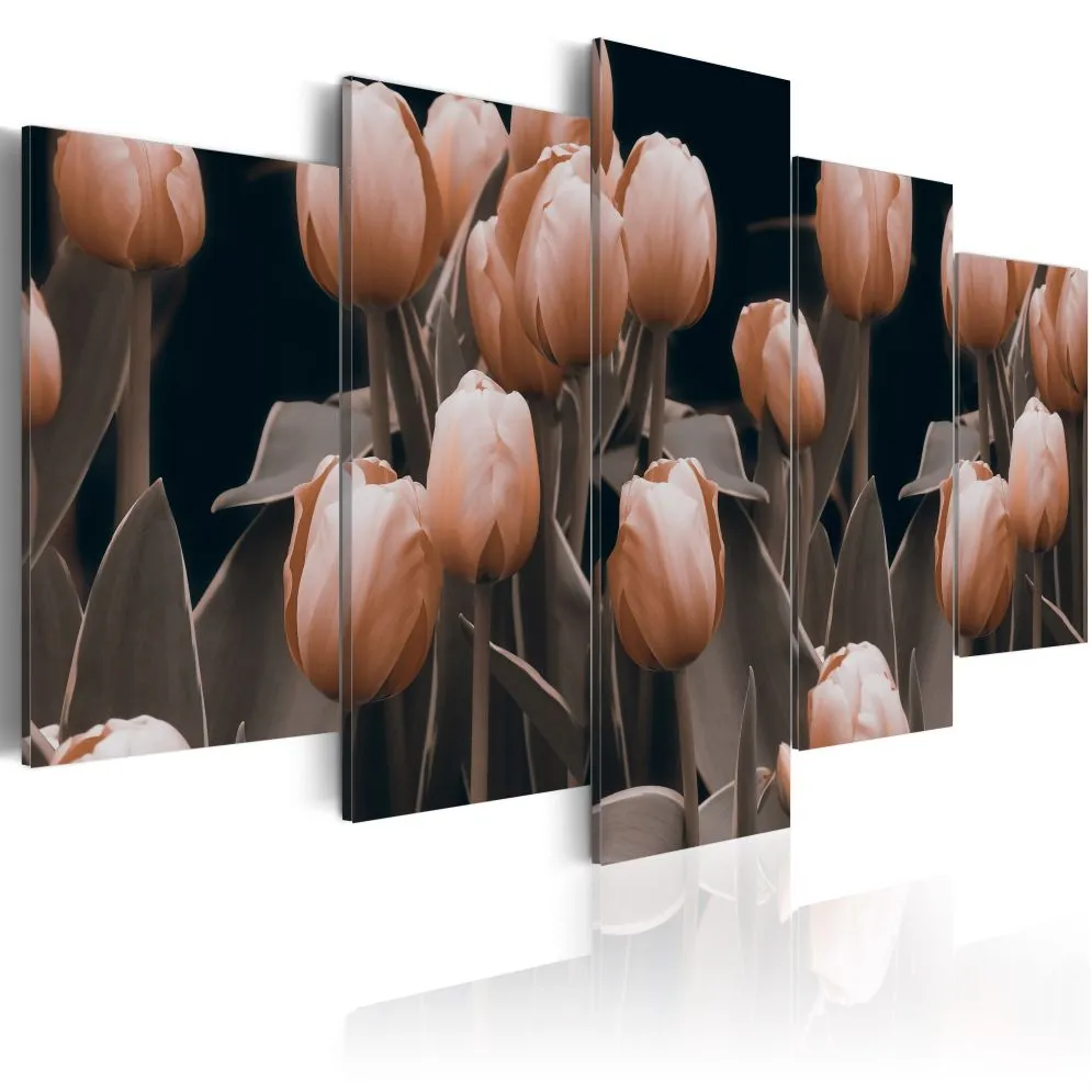 Obraz - Tulipany w sepii-1