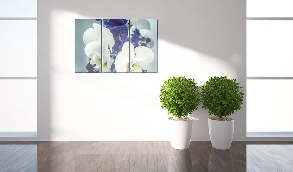 Obraz - Chimeryczne orchidee-2
