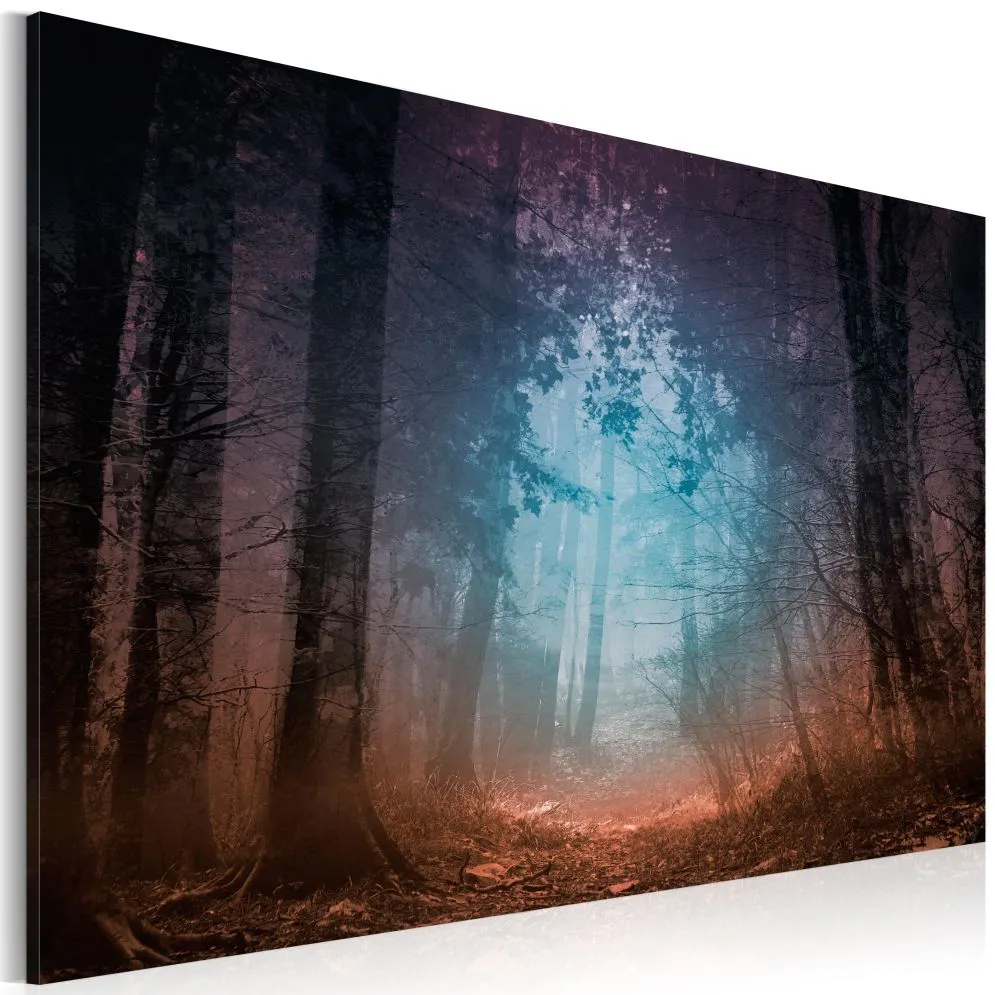 Obraz - Edge of the forest-1