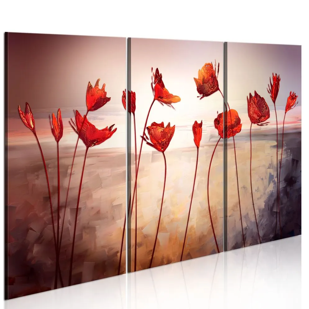 Obraz - Bright red poppies-1