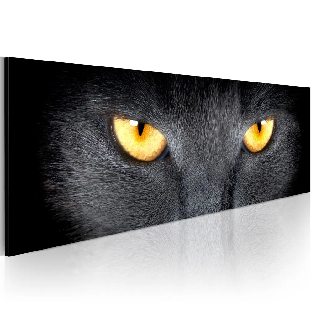 Obraz - Look into my eyes...-1