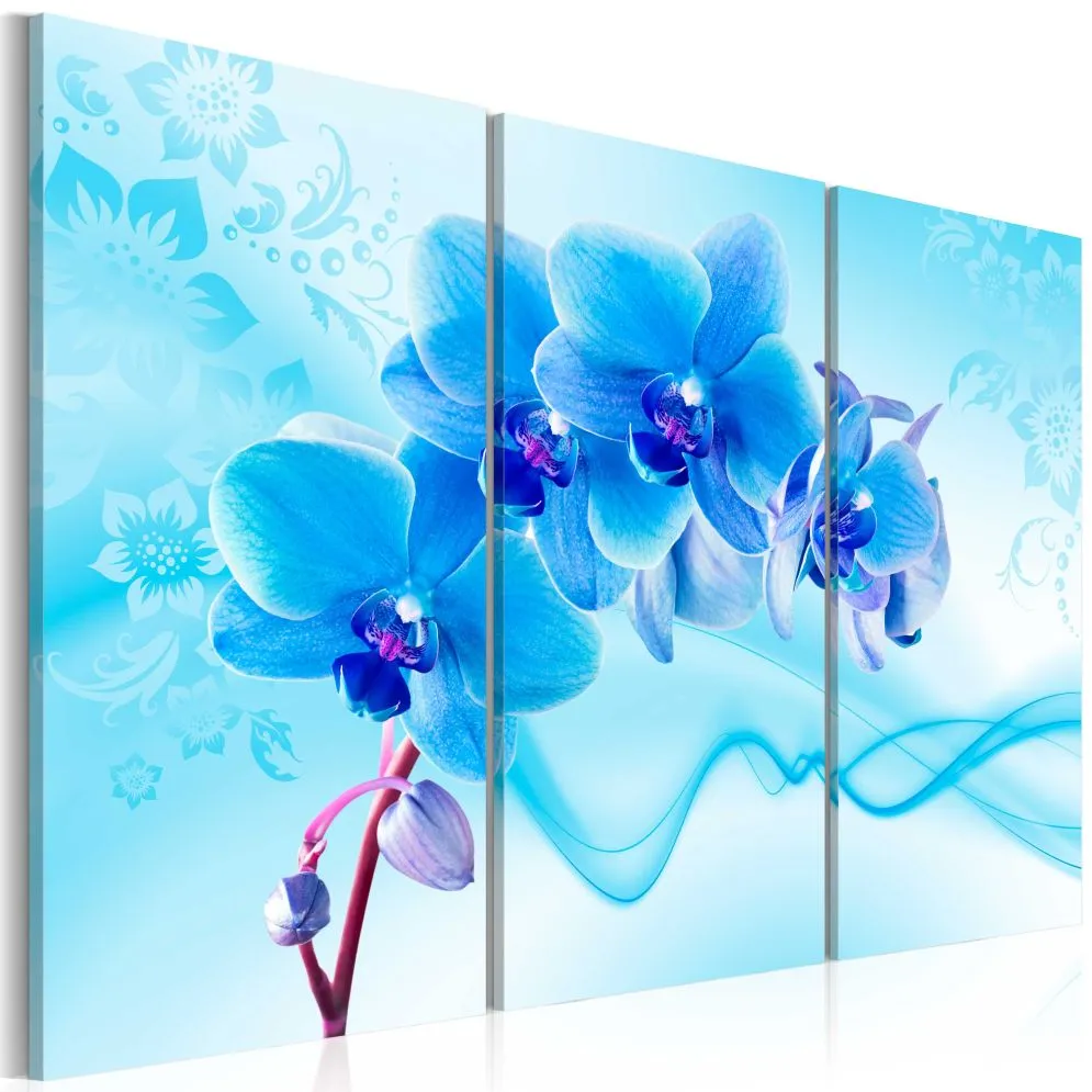 Obraz - Eteryczna orchidea - błękit-1