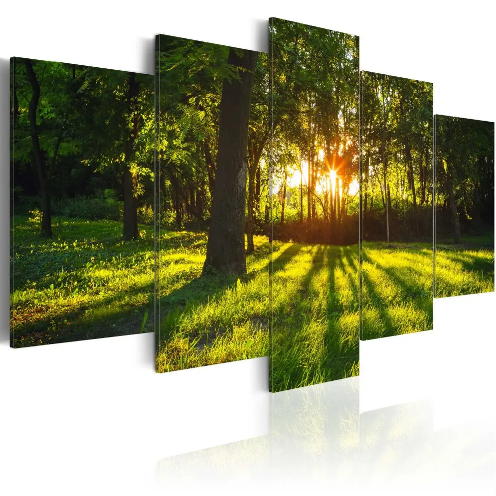 Obraz - Leśna refleksja-1