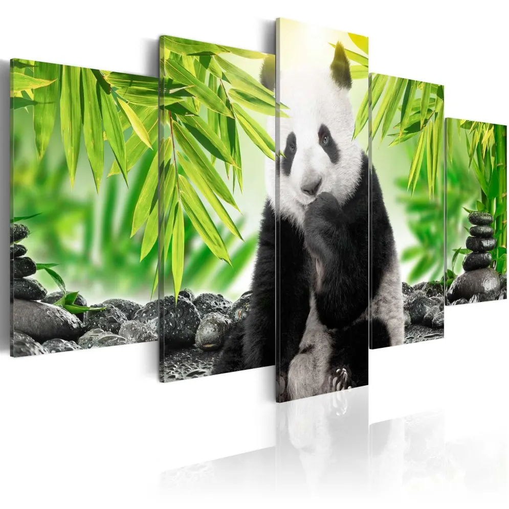 Obraz - Słodka mała panda-1