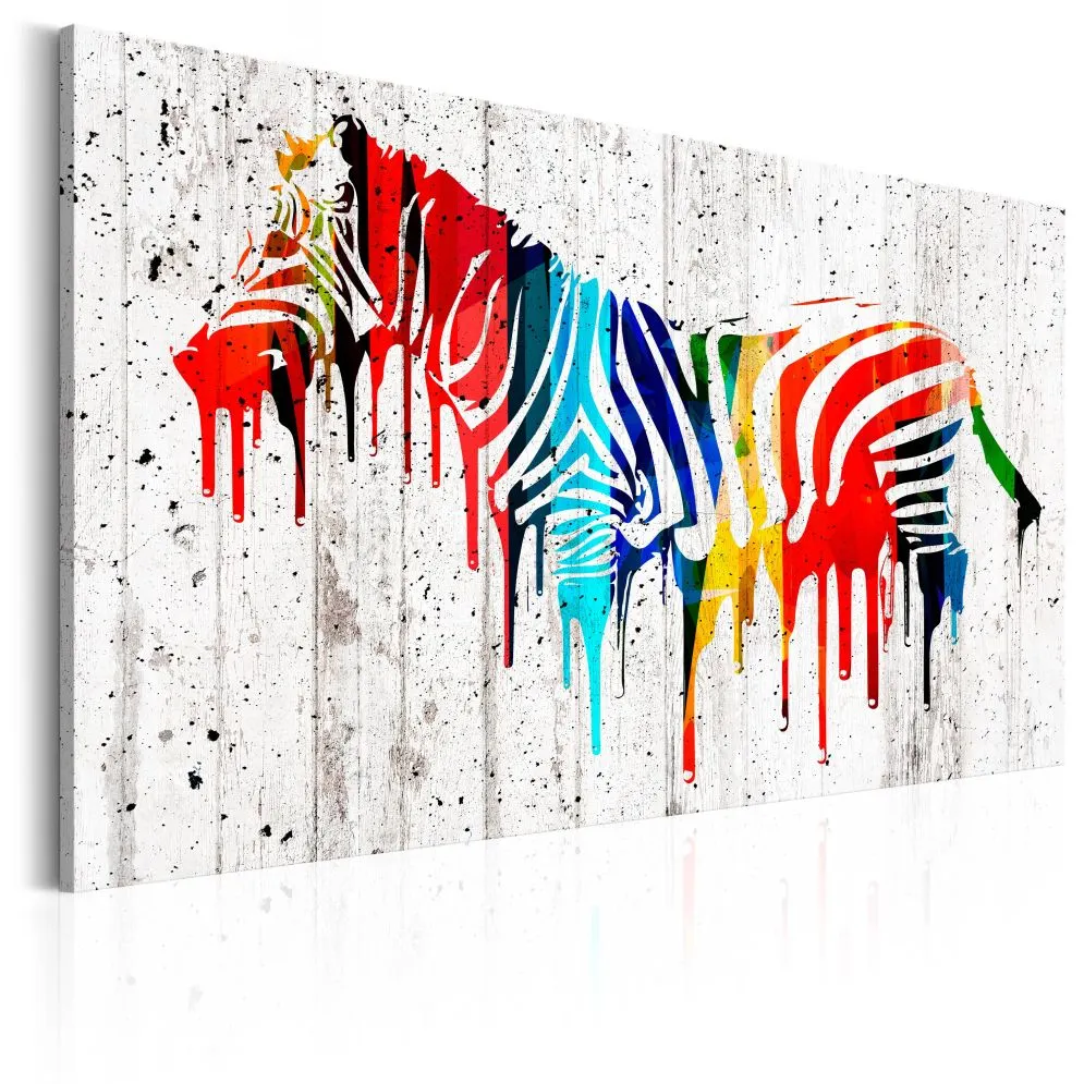 Obraz - Kolorowa zebra-1
