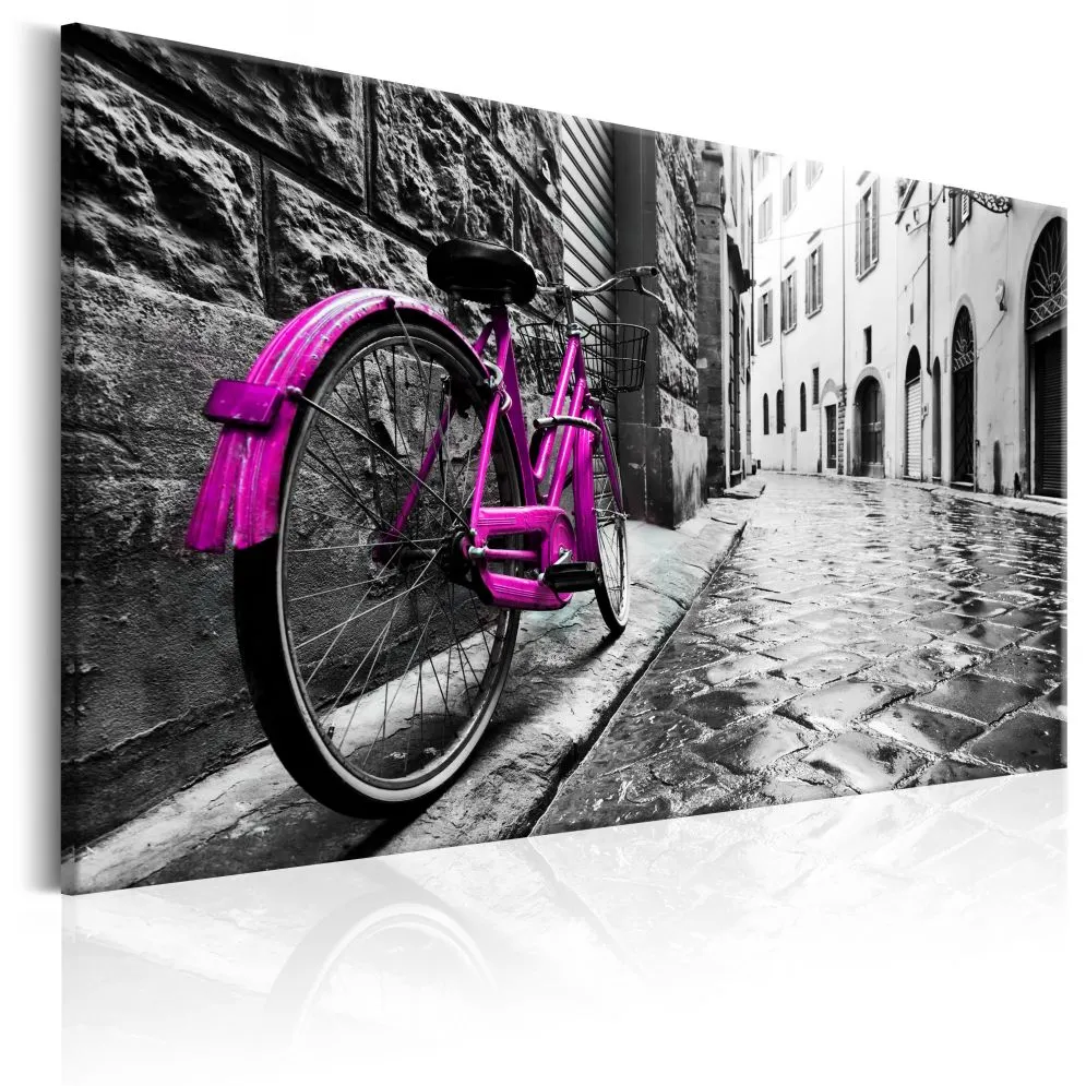 Obraz - Vintage Pink Bike-1