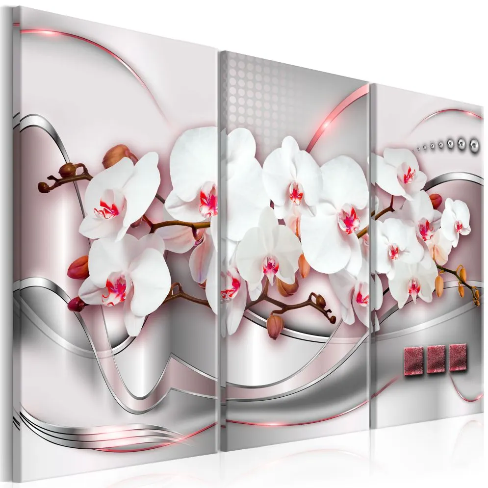 Obraz - Cudowne orchidee I-1