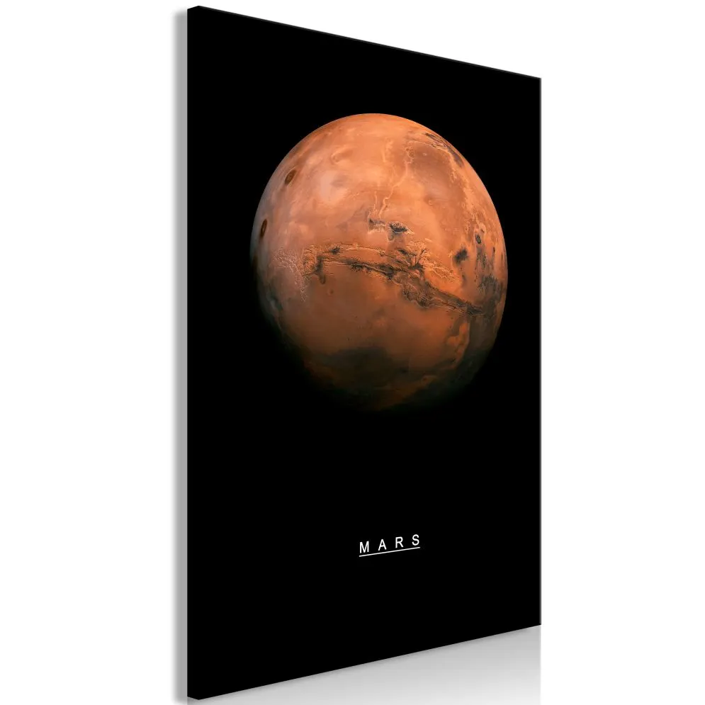 Obraz - Mars (1-częściowy) pionowy-1