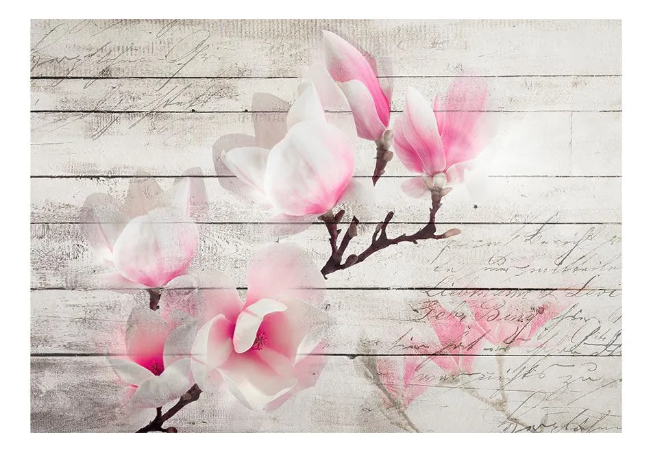 Fototapeta - Delikatność Magnolii-2