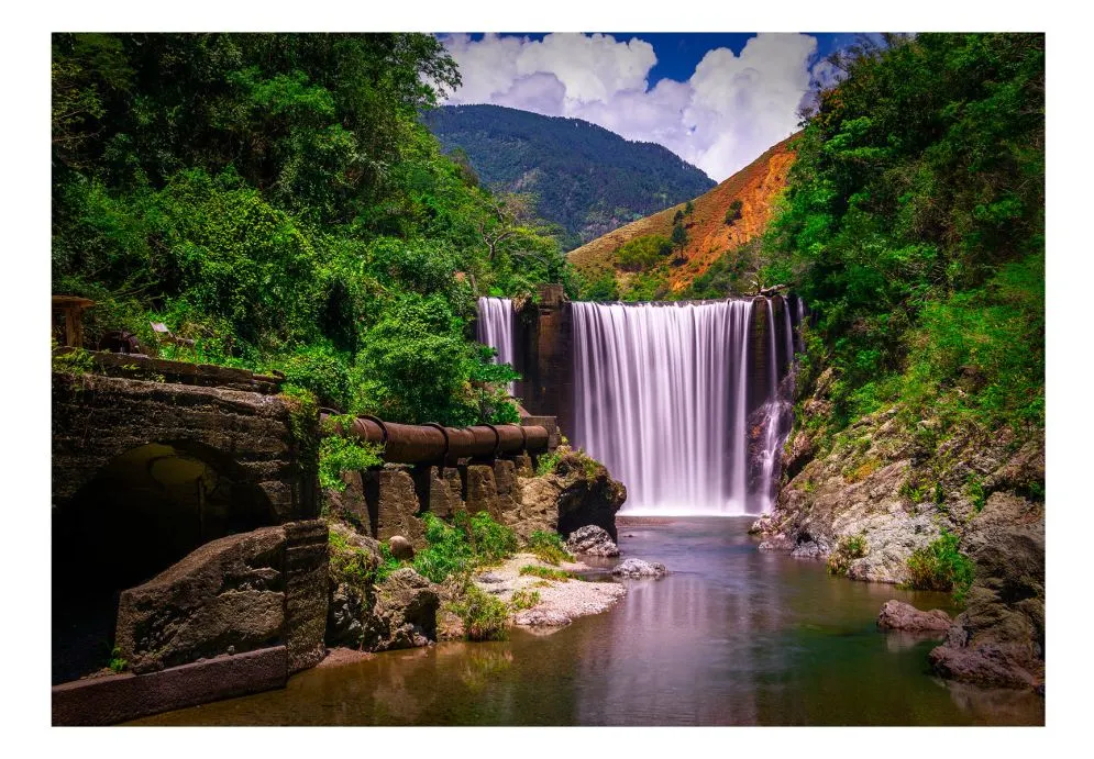 Fototapeta - Reggae Falls-2