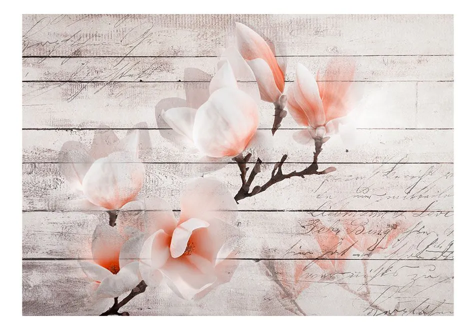 Fototapeta - Subtelność Magnolii-2