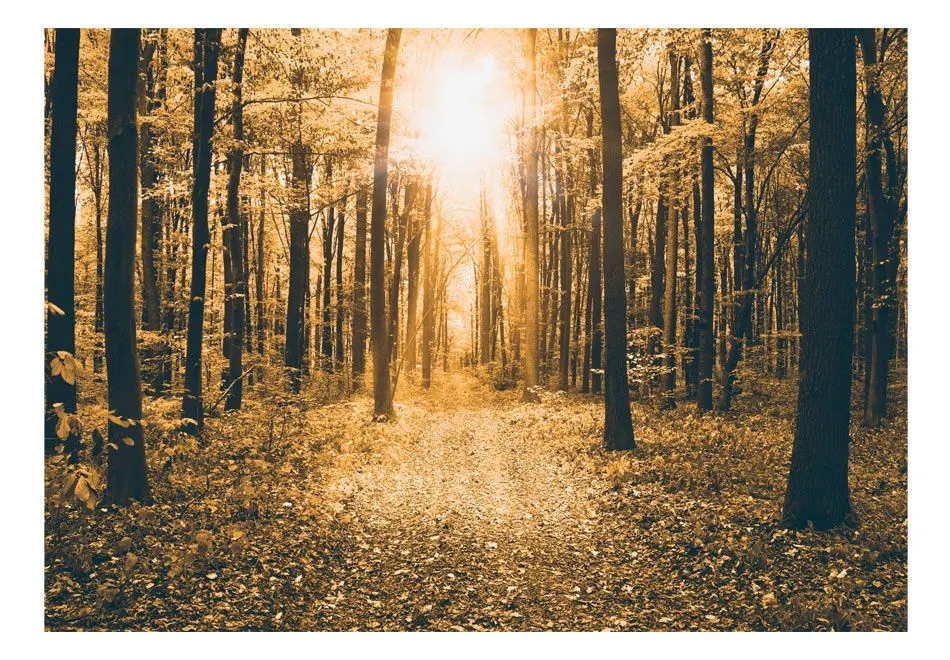Fototapeta - Magiczne światło-2